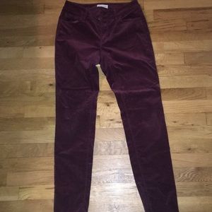 LOFT Burgundy Velvet Pants